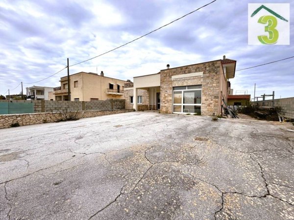negozio in vendita ad Alessano