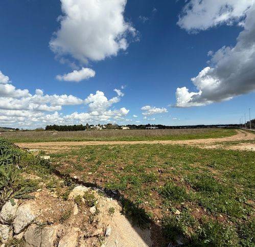 terreno agricolo in vendita ad Alessano