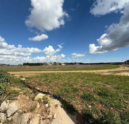 terreno agricolo in vendita ad Alessano