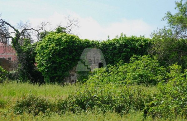 casa indipendente in vendita ad Alessano in zona Montesardo