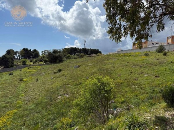 terreno agricolo in vendita ad Alessano in zona Montesardo