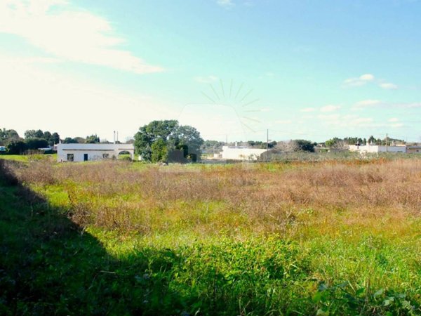 terreno agricolo in vendita ad Alessano in zona Montesardo