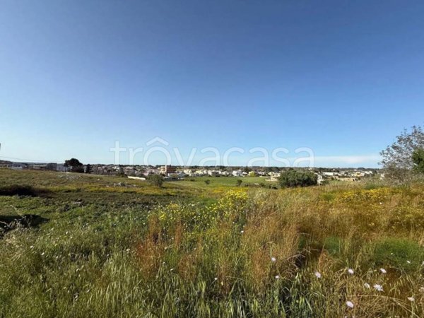 terreno agricolo in vendita ad Alessano in zona Montesardo