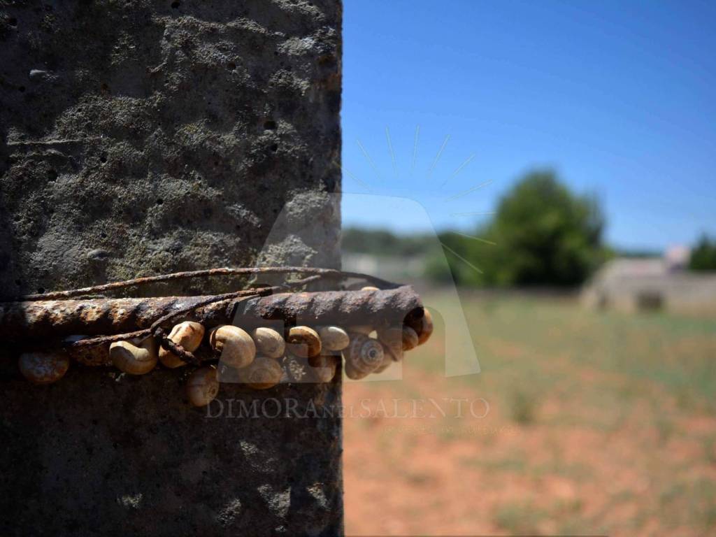 terreno in vendita ad Alessano in zona Montesardo