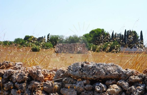 terreno in vendita ad Alessano