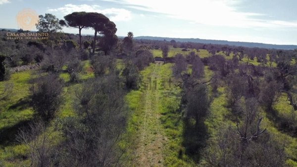 terreno in vendita ad Alessano