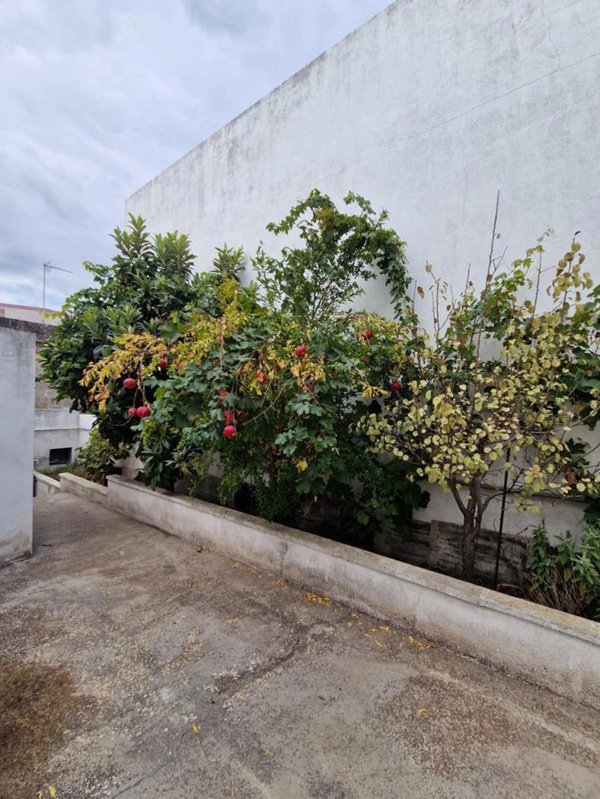 casa indipendente in vendita ad Alessano in zona Montesardo