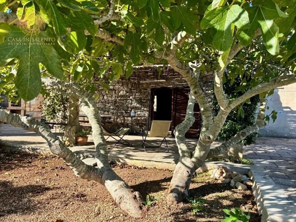casa indipendente in vendita ad Alessano in zona Montesardo
