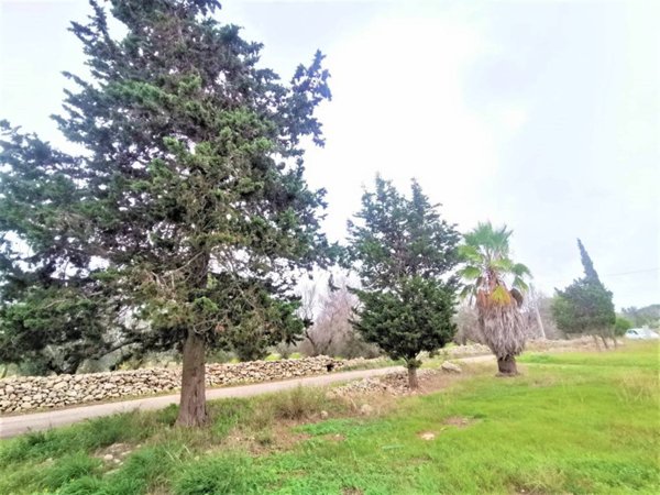 terreno agricolo in vendita ad Alezio