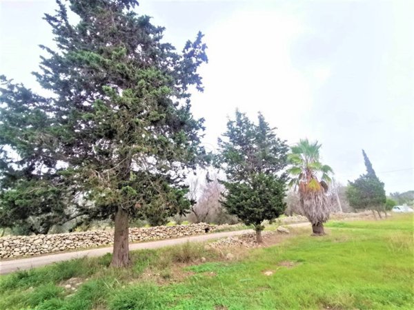 terreno agricolo in vendita ad Alezio