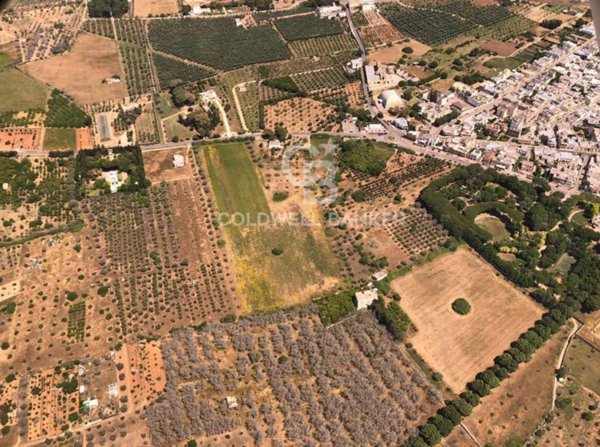 terreno agricolo in vendita ad Alezio
