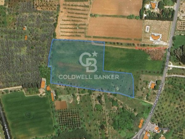 terreno agricolo in vendita ad Alezio