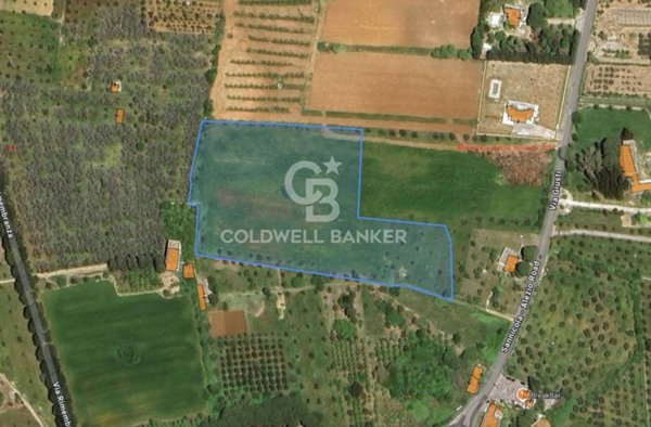 terreno agricolo in vendita ad Alezio