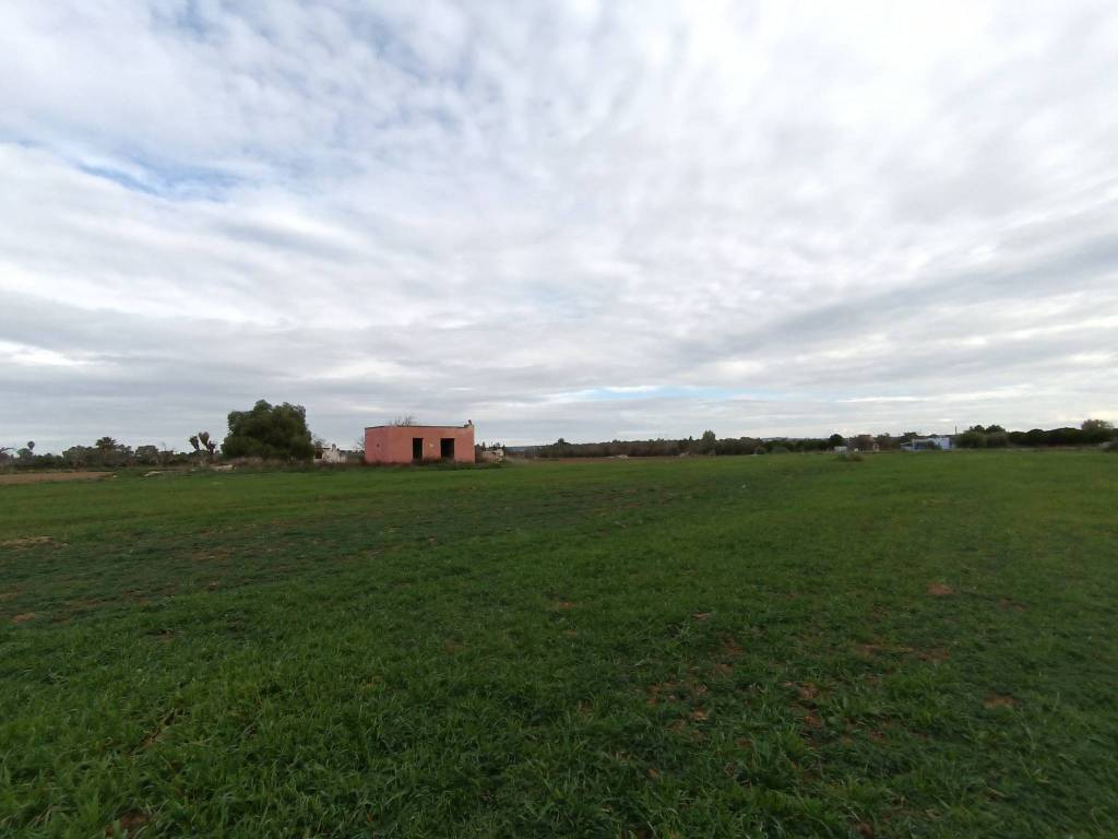 terreno agricolo in vendita ad Alezio