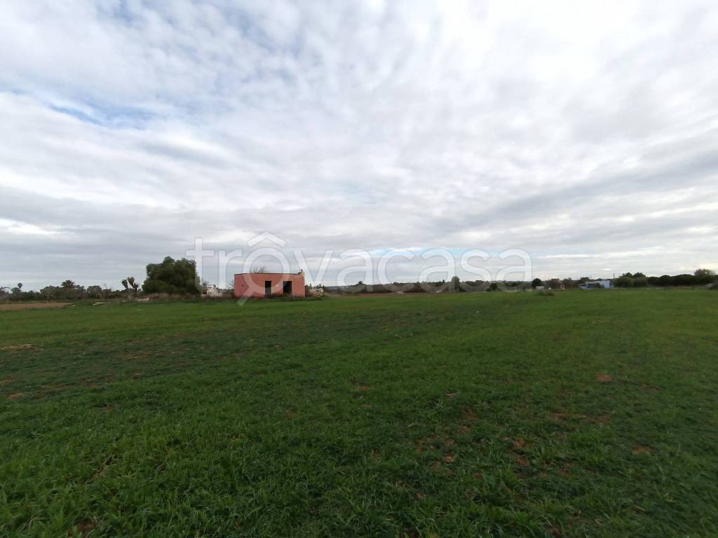 terreno agricolo in vendita ad Alezio