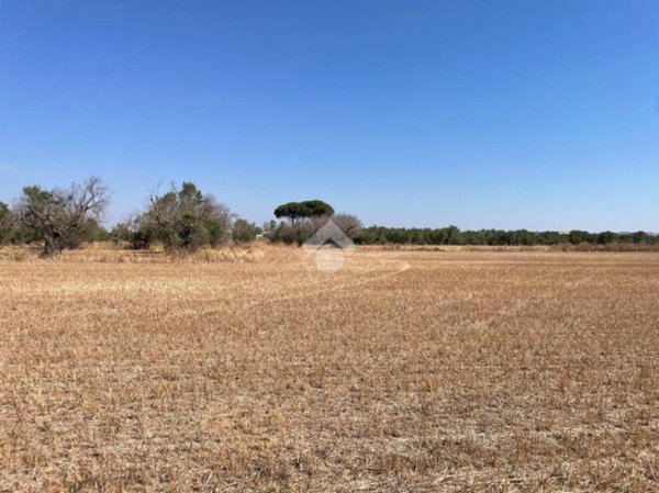 casa indipendente in vendita ad Alezio