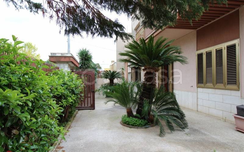 casa indipendente in vendita ad Alezio