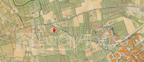 terreno agricolo in vendita ad Alezio