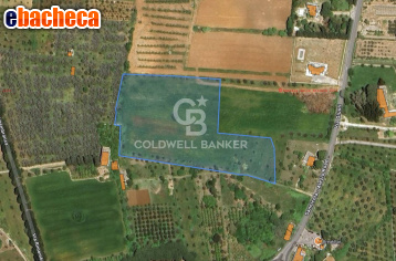 terreno agricolo in vendita ad Alezio