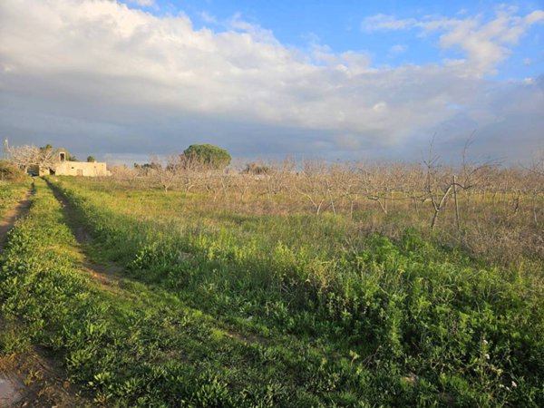 terreno agricolo in vendita ad Alezio