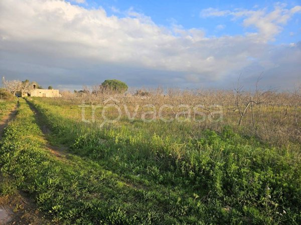 terreno agricolo in vendita ad Alezio