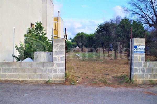 terreno agricolo in vendita ad Alezio