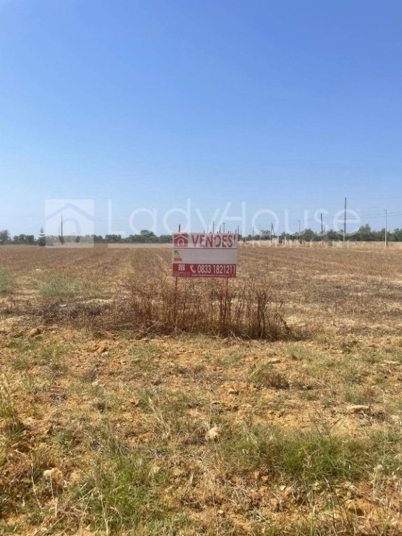 terreno agricolo in vendita ad Alezio