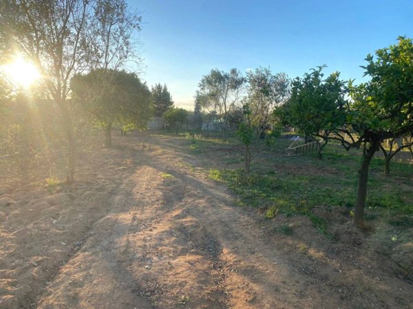 terreno agricolo in vendita ad Alezio