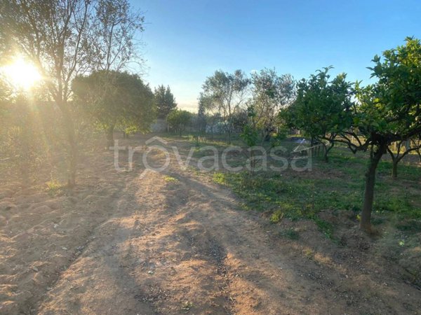 terreno agricolo in vendita ad Alezio