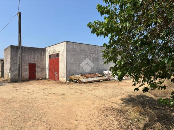 terreno agricolo in vendita ad Alezio