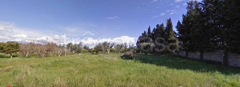 terreno agricolo in vendita ad Alezio