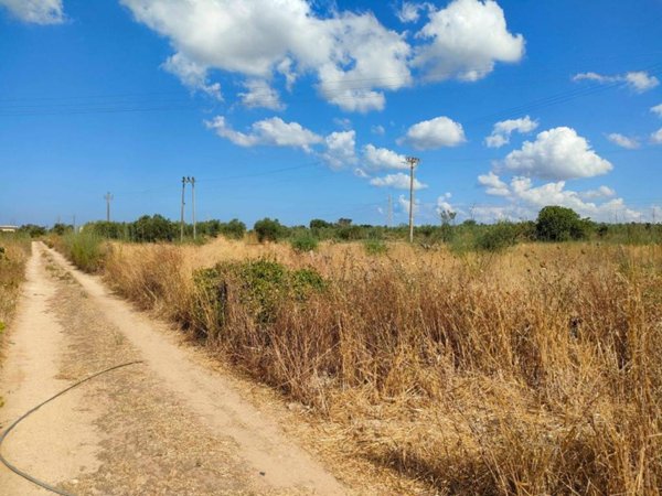terreno agricolo in vendita ad Alezio