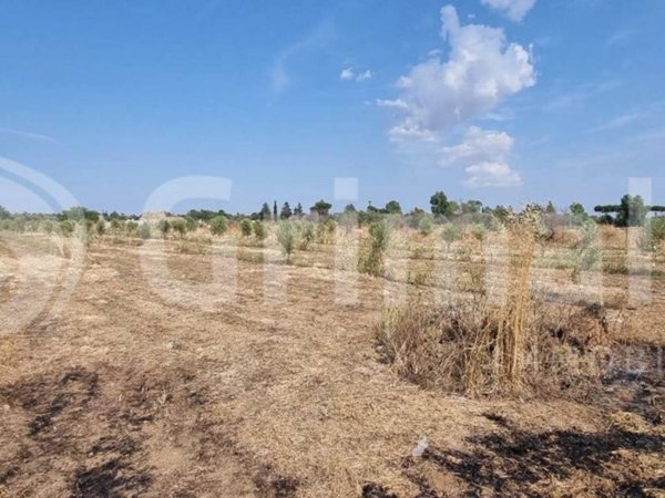 terreno agricolo in vendita ad Alezio