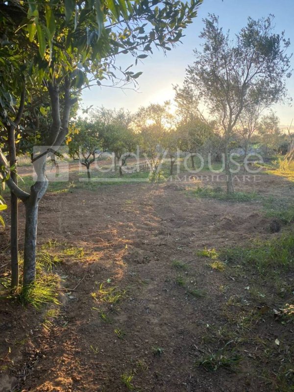 terreno agricolo in vendita ad Alezio