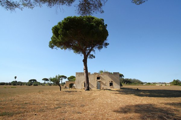 casa indipendente in vendita ad Alezio