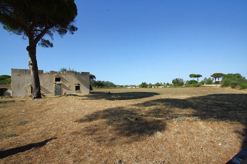 pentavano in vendita ad Alezio