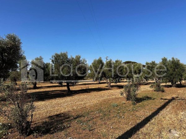 casa indipendente in vendita ad Alezio