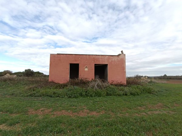 terreno agricolo in vendita ad Alezio