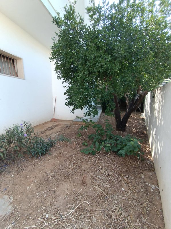 appartamento in vendita ad Alezio