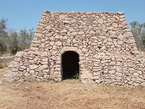 terreno agricolo in vendita ad Alezio