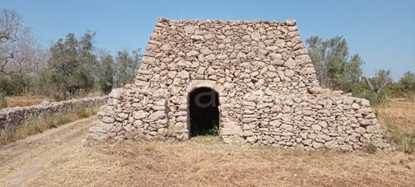 terreno agricolo in vendita ad Alezio