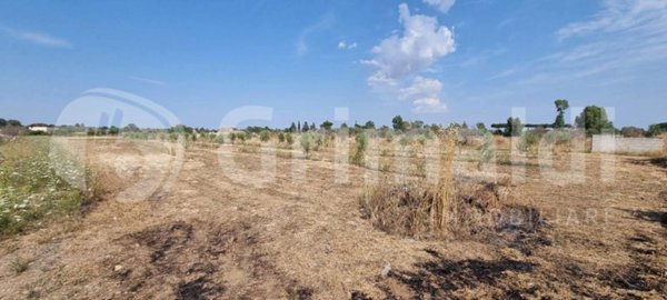 terreno agricolo in vendita ad Alezio