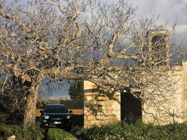 terreno agricolo in vendita ad Alezio