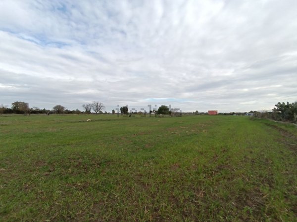 terreno agricolo in vendita ad Alezio