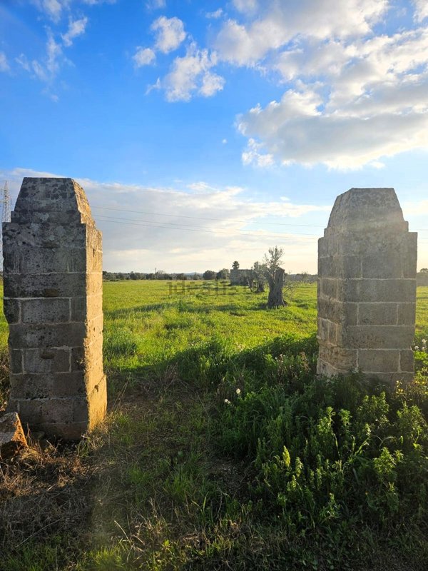 terreno agricolo in vendita ad Alezio