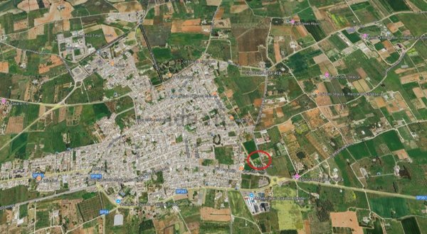 terreno agricolo in vendita ad Alezio