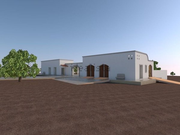 terreno agricolo in vendita ad Alezio