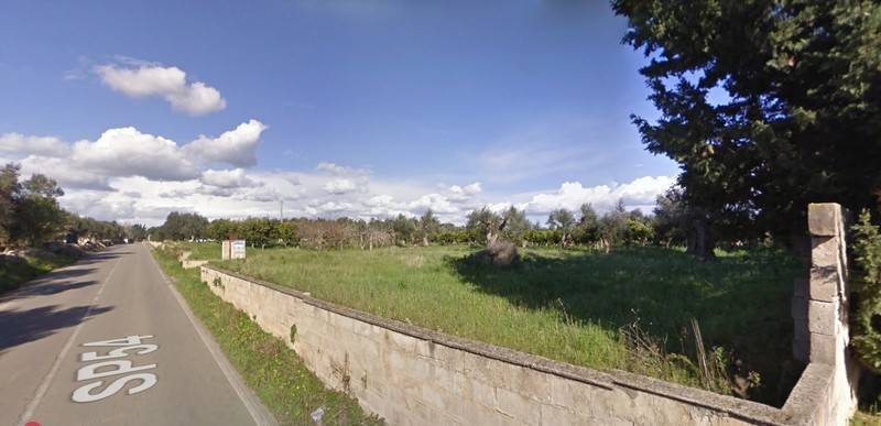 terreno agricolo in vendita ad Alezio