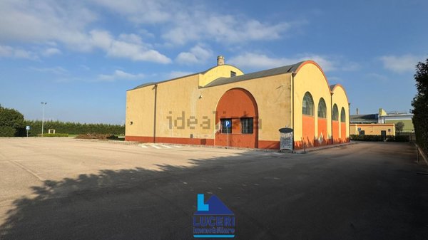 negozio in vendita ad Alezio