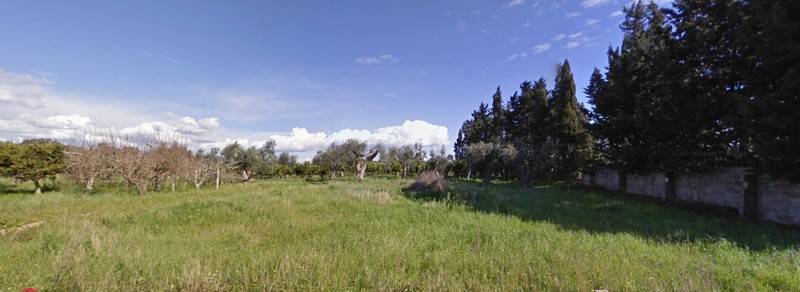 terreno agricolo in vendita ad Alezio